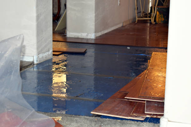Professional Flood Cleanup technician working in Litchville, ND